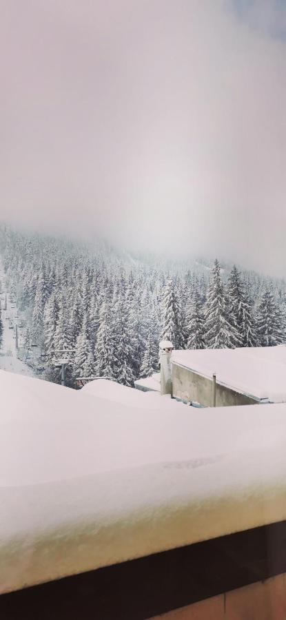 Apartments Black Horse Pamporovo Extérieur photo